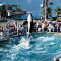 Sea World San-Diego