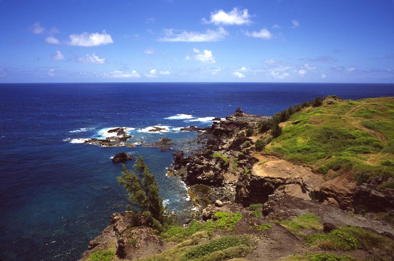 hawaii shore