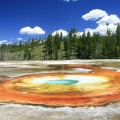 yellowstone