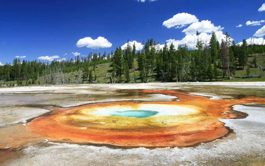 Yellowstone